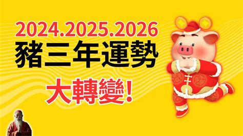 生肖豬幸運色|【屬豬 顏色】速查2024屬豬運勢指南：幸運色、財位、禁忌